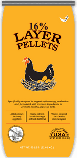 16% Layer Pellets | Tucker Milling