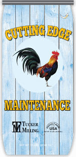 Cutting Edge Maintenance | Tucker Milling